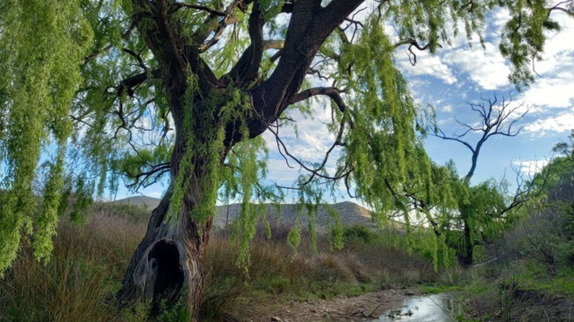 KarooRest - Camping = Eastern Cape ZA