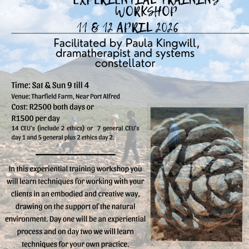 Embodied Therapeutic Techniques Experiential Training Workshop