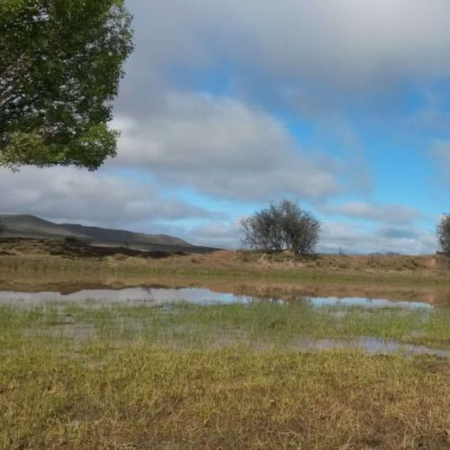 Karoo Rest - Nieu Bethesda - It rained 3
