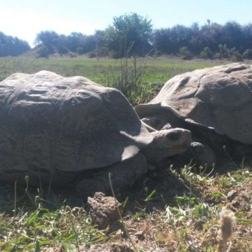 Still Waiting for rain